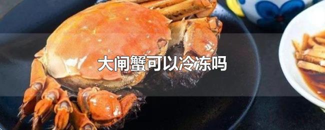 大闸蟹可以冷冻吗