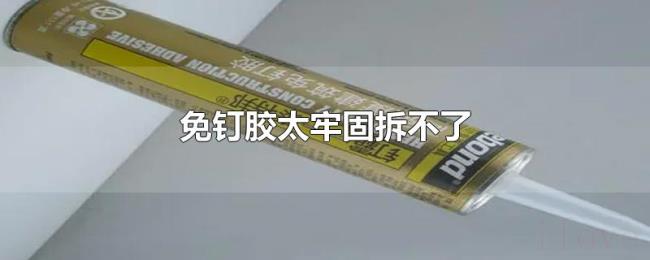 免钉胶太牢固拆不了 免钉胶太牢固拆不了