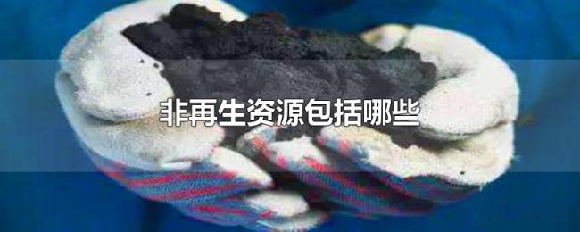 非再生资源包括哪些