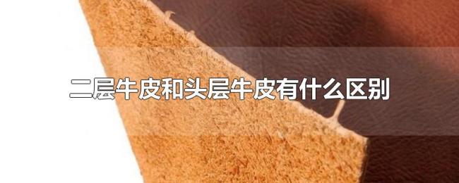 二层牛皮和头层牛皮有什么区别 二层牛皮和头层牛皮有什么区别