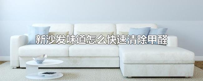 新沙发味道怎么快速清除甲醛 新沙发味道怎么快速清除甲醛