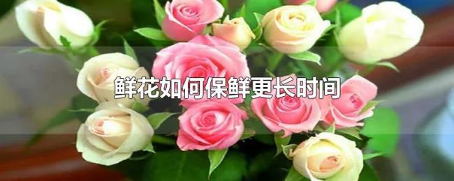 鲜花如何保鲜更长时间 鲜花如何保鲜更长时间