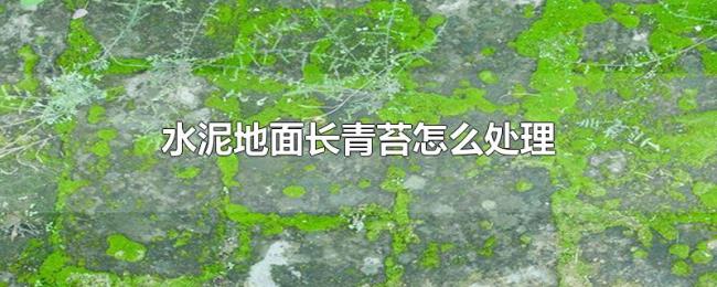 水泥地面长青苔怎么处理 水泥地面长青苔怎么处理