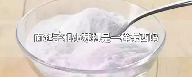 面起子和小苏打是一样东西吗