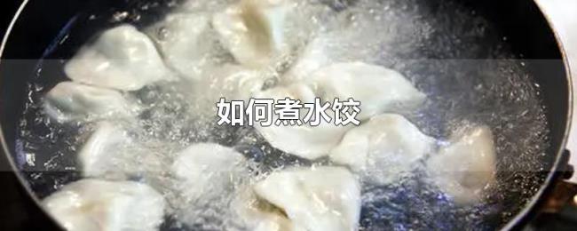 如何煮水饺 如何煮水饺