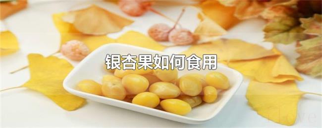 银杏果如何食用 银杏果如何食用