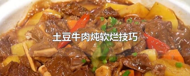 土豆牛肉炖软烂技巧