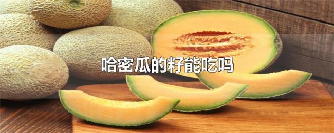 哈密瓜的籽能吃吗 哈密瓜的籽能吃吗