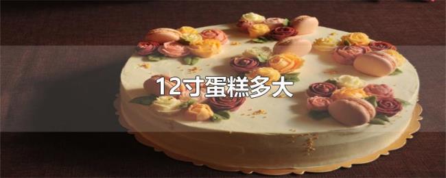 12寸蛋糕多大