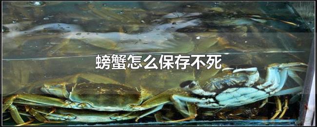 螃蟹怎么保存不死 螃蟹怎么保存不死