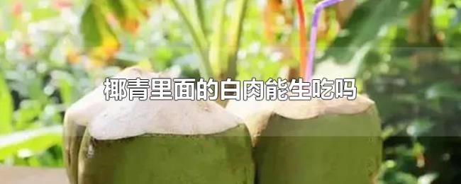 椰青里面的白肉能生吃吗
