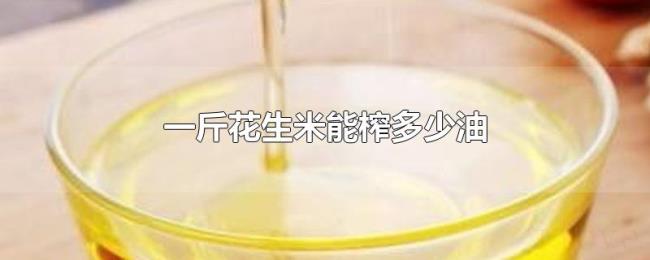 一斤花生米能榨多少油