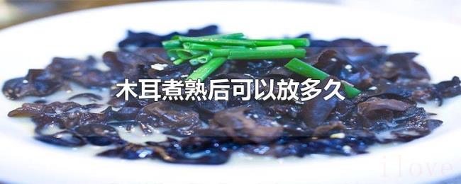 木耳煮熟后可以放多久