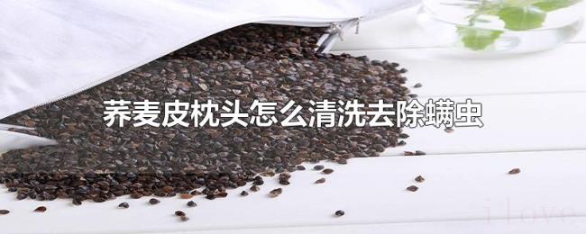 荞麦皮枕头怎么清洗去除螨虫