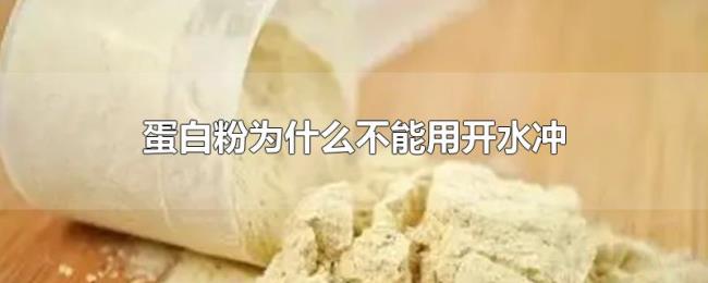 蛋白粉为什么不能用开水冲