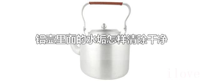 铝壶里面的水垢怎样清除干净