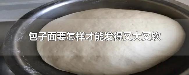 包子面要怎样才能发得又大又软 包子面要怎样才能发得又大又软