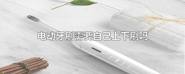电动牙刷需要自己上下刷吗