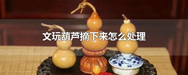 文玩葫芦摘下来怎么处理