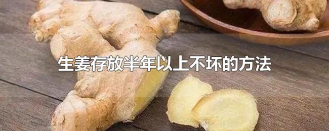 生姜存放半年以上不坏的方法