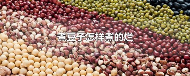 煮豆子怎样煮的烂 煮豆子怎样煮的烂