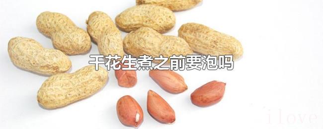 干花生煮之前要泡吗 干花生煮之前要泡吗