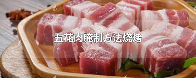 五花肉腌制方法烧烤 五花肉腌制方法烧烤