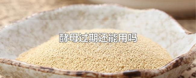 酵母过期还能用吗