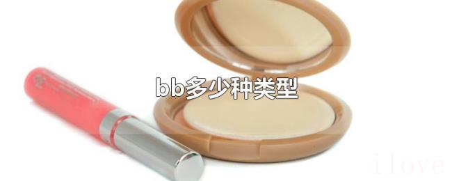 bb多少种类型