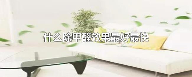 什么除甲醛效果最好最快