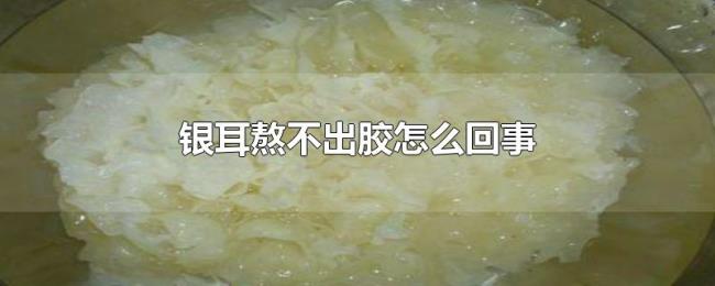 银耳熬不出胶怎么回事