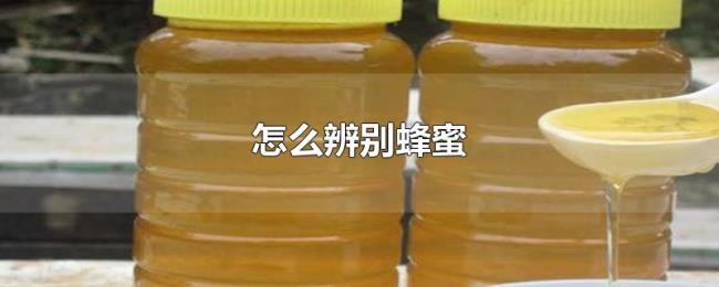 怎么辨别蜂蜜 怎么辨别蜂蜜