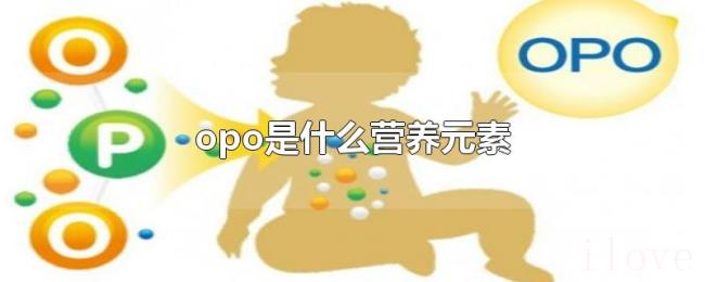 opo是什么营养元素 opo是什么营养元素