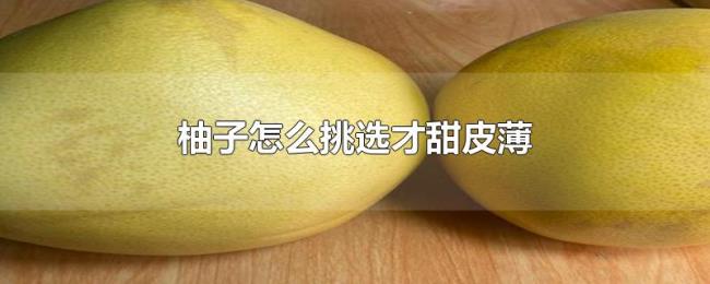 柚子怎么挑选才甜皮薄 柚子怎么挑选才甜皮薄