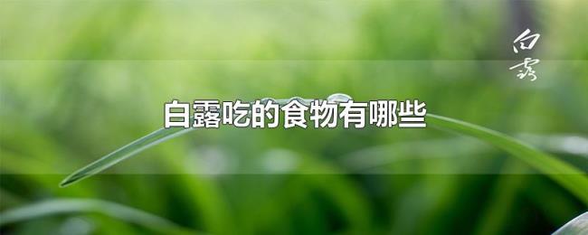 白露吃的食物有哪些