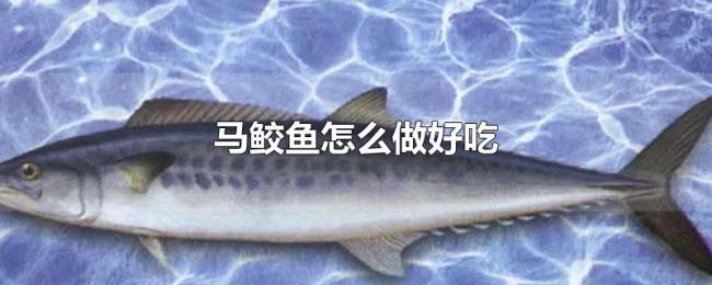 马鲛鱼怎么做好吃