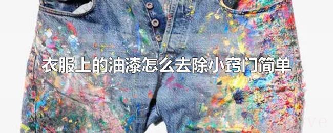衣服上的油漆怎么去除小窍门简单