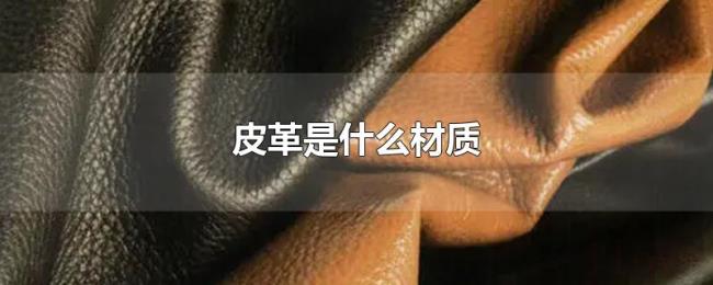 皮革是什么材质 皮革是什么材质