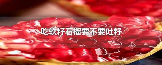 吃软籽石榴要不要吐籽