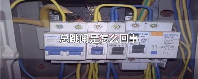 总跳闸是怎么回事 总跳闸是怎么回事