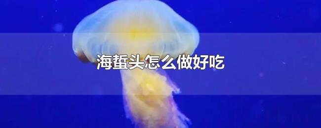 海蜇头怎么做好吃