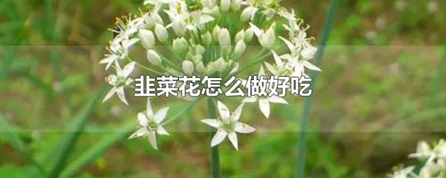 韭菜花怎么做好吃