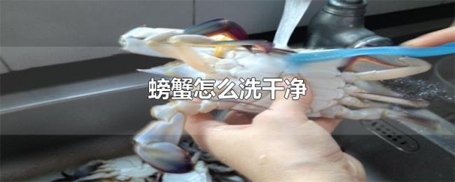 螃蟹怎么洗干净 螃蟹怎么洗干净