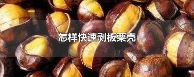 怎样快速剥板栗壳 怎样快速剥板栗壳