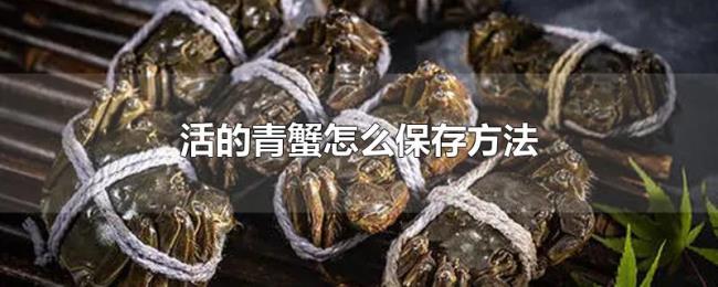 活的青蟹怎么保存方法 活的青蟹怎么保存方法