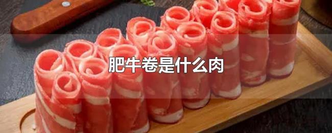 肥牛卷是什么肉 肥牛卷是什么肉