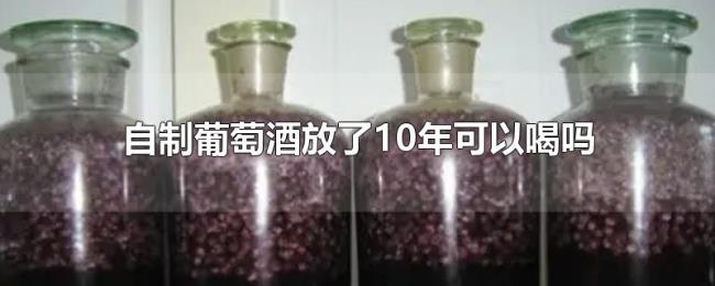 自制葡萄酒放了10年可以喝吗 自制葡萄酒放了10年可以喝吗