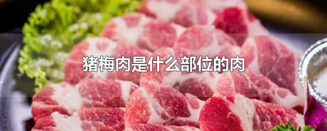猪梅肉是什么部位的肉 猪梅肉是什么部位的肉
