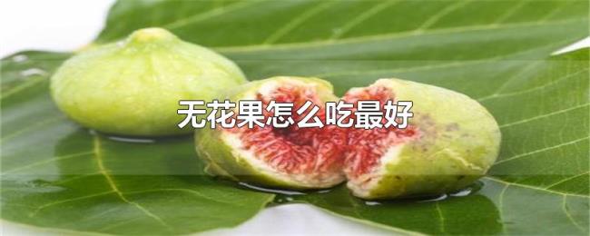 无花果怎么吃最好 无花果怎么吃最好