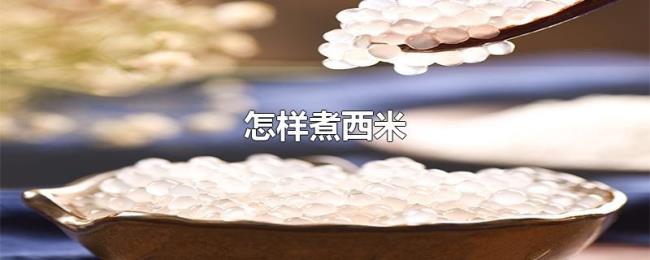 怎样煮西米 怎样煮西米